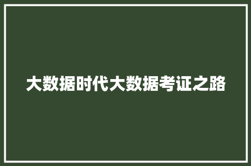 大数据时代大数据考证之路 电脑基础 大数据时代大数据考证之路 电脑基础