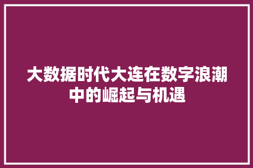 大数据时代大连在数字浪潮中的崛起与机遇 操作系统