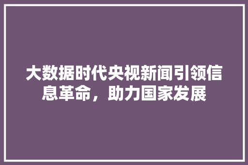 大数据时代央视新闻引领信息革命，助力国家发展