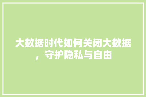 大数据时代如何关闭大数据,守护隐私与自由 大数据时代如何关闭大数据,守护隐私与自由