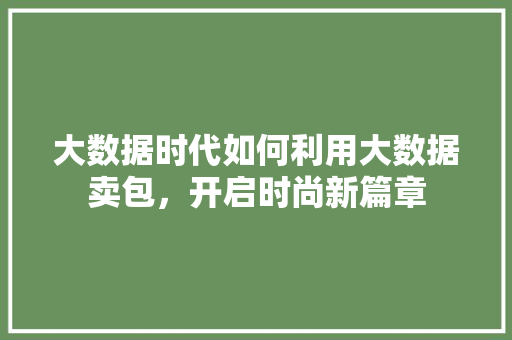 大数据时代如何利用大数据卖包,开启时尚新篇章 大数据时代如何利用大数据卖包,开启时尚新篇章