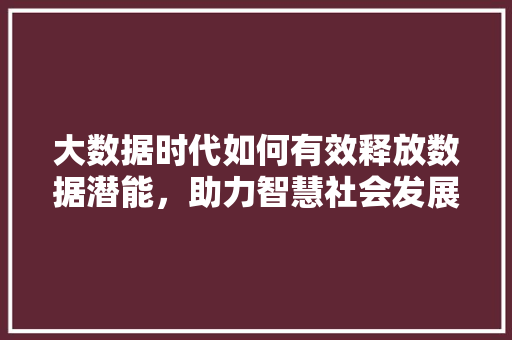大数据时代如何有效释放数据潜能,助力智慧社会发展 大数据时代如何有效释放数据潜能,助力智慧社会发展