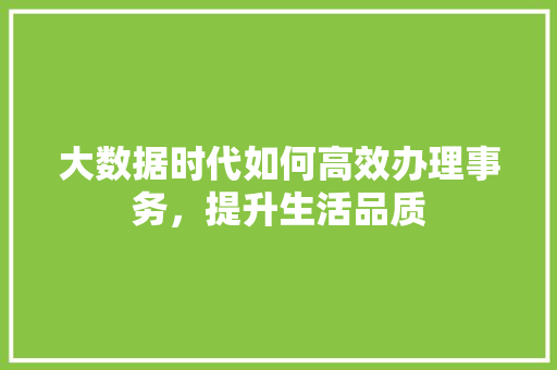 大数据时代如何高效办理事务，提升生活品质