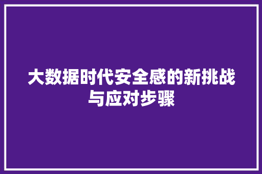 大数据时代安全感的新挑战与应对步骤
