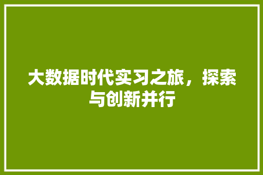 大数据时代实习之旅，探索与创新并行