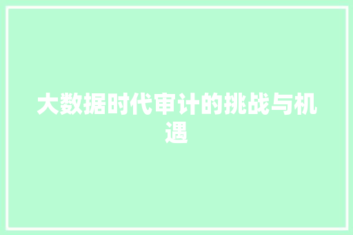 大数据时代审计的挑战与机遇