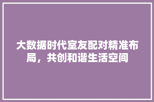 大数据时代室友配对精准布局，共创和谐生活空间