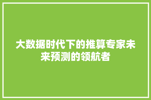 大数据时代下的推算专家未来预测的领航者