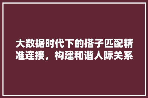 大数据时代下的搭子匹配精准连接,构建和谐人际关系 大数据时代下的搭子匹配精准连接,构建和谐人际关系