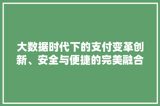 大数据时代下的支付变革创新、安全与便捷的完美融合 大数据时代下的支付变革创新、安全与便捷的完美融合