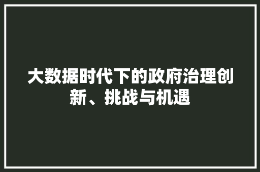 大数据时代下的政府治理创新、挑战与机遇