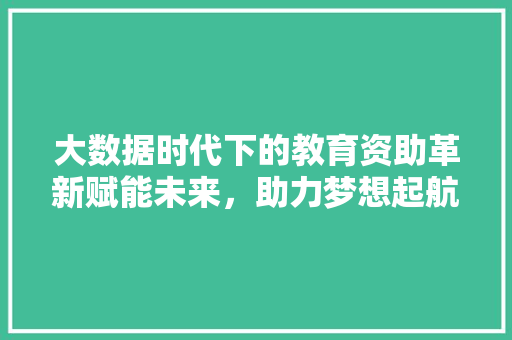 大数据时代下的教育资助革新赋能未来，助力梦想起航