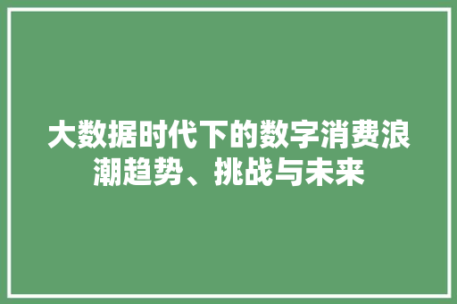 大数据时代下的数字消费浪潮趋势、挑战与未来