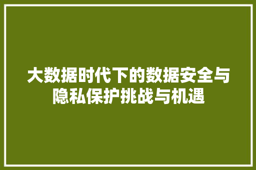 大数据时代下的数据安全与隐私保护挑战与机遇 大数据时代下的数据安全与隐私保护挑战与机遇
