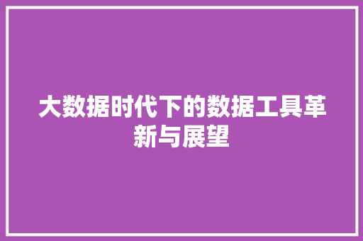 大数据时代下的数据工具革新与展望 大数据时代下的数据工具革新与展望