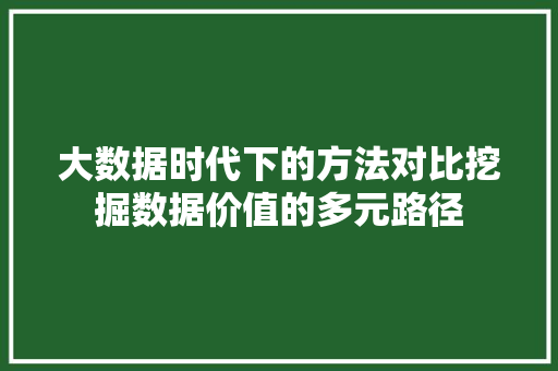 大数据时代下的方法对比挖掘数据价值的多元路径