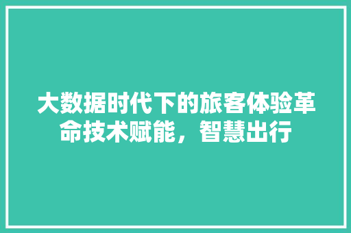 大数据时代下的旅客体验革命技术赋能，智慧出行