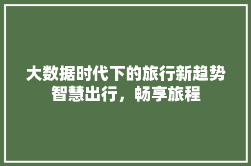 大数据时代下的旅行新趋势智慧出行，畅享旅程
