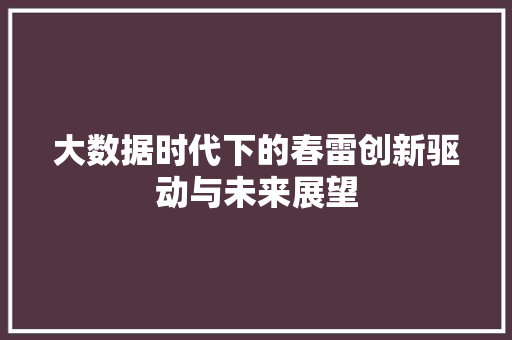 大数据时代下的春雷创新驱动与未来展望
