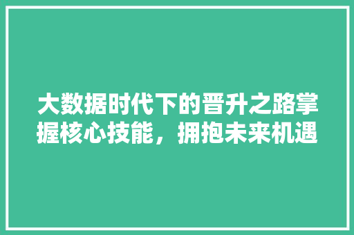 大数据时代下的晋升之路掌握核心技能，拥抱未来机遇