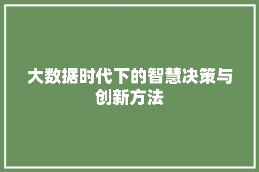 大数据时代下的智慧决策与创新方法