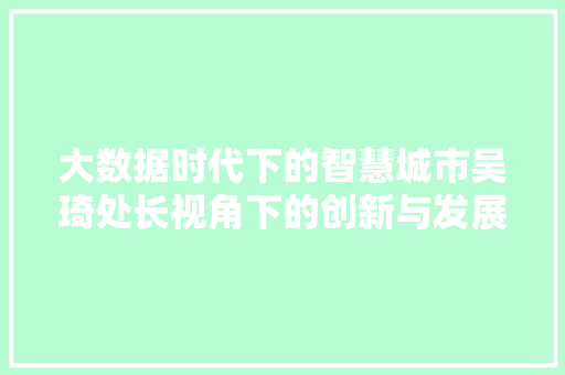 大数据时代下的智慧城市吴琦处长视角下的创新与发展