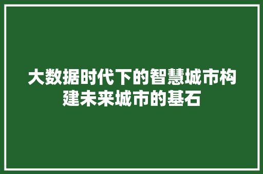 大数据时代下的智慧城市构建未来城市的基石