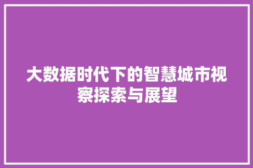 大数据时代下的智慧城市视察探索与展望