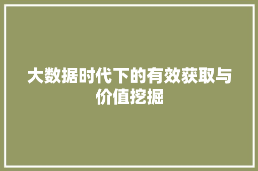 大数据时代下的有效获取与价值挖掘