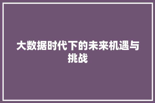大数据时代下的未来机遇与挑战