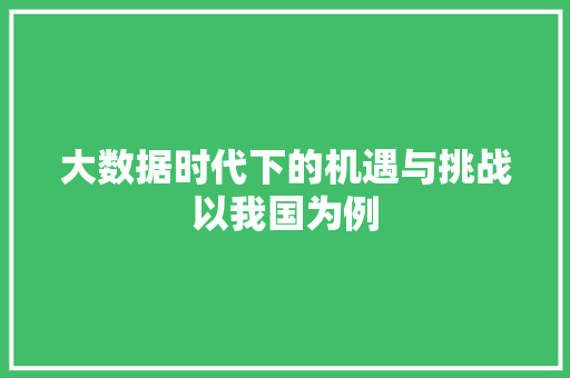 大数据时代下的机遇与挑战以我国为例