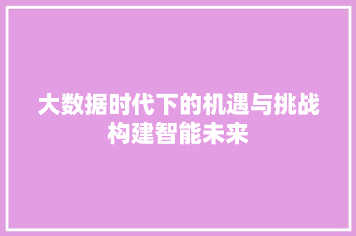 大数据时代下的机遇与挑战构建智能未来