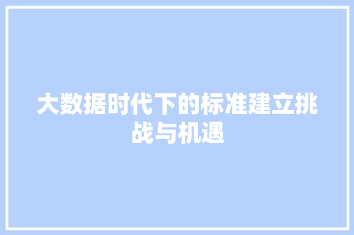 大数据时代下的标准建立挑战与机遇