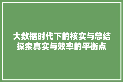 大数据时代下的核实与总结探索真实与效率的平衡点