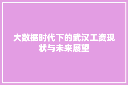 大数据时代下的武汉工资现状与未来展望