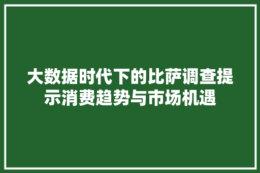 大数据时代下的比萨调查提示消费趋势与市场机遇 编程语言