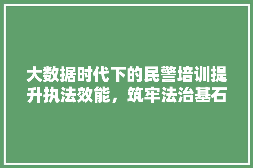 大数据时代下的民警培训提升执法效能，筑牢法治基石