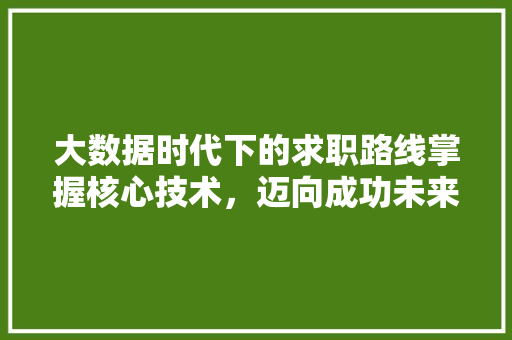 大数据时代下的求职路线掌握核心技术，迈向成功未来 编程语言