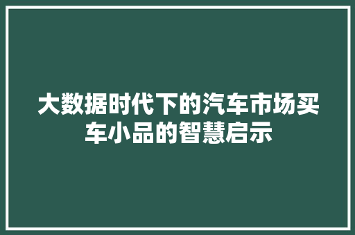 大数据时代下的汽车市场买车小品的智慧启示