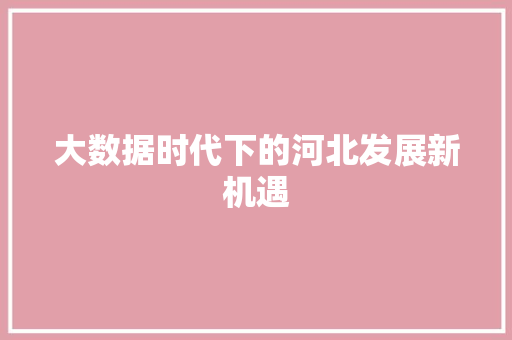 大数据时代下的河北发展新机遇