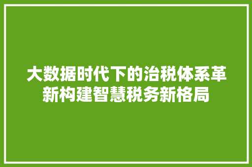 大数据时代下的治税体系革新构建智慧税务新格局 编程语言
