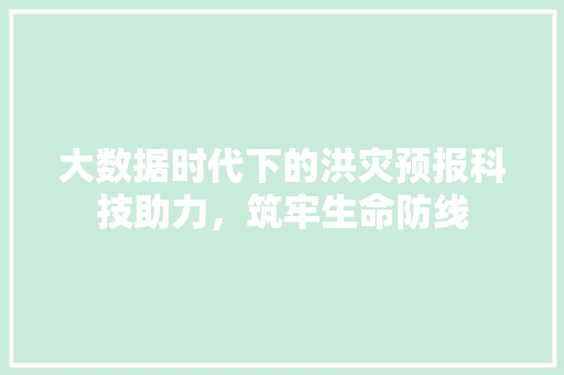 大数据时代下的洪灾预报科技助力，筑牢生命防线