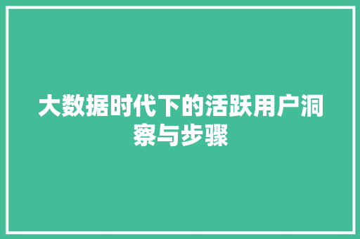 大数据时代下的活跃用户洞察与步骤 网络技术