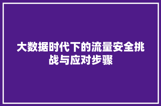 大数据时代下的流量安全挑战与应对步骤 编程语言 大数据时代下的流量安全挑战与应对步骤 编程语言