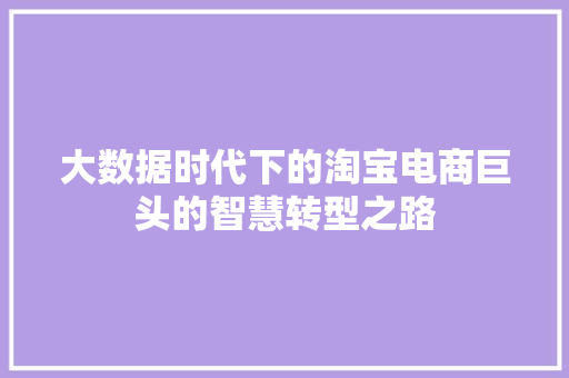 大数据时代下的淘宝电商巨头的智慧转型之路