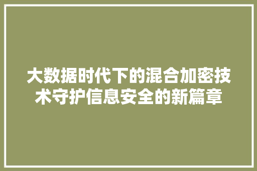 大数据时代下的混合加密技术守护信息安全的新篇章