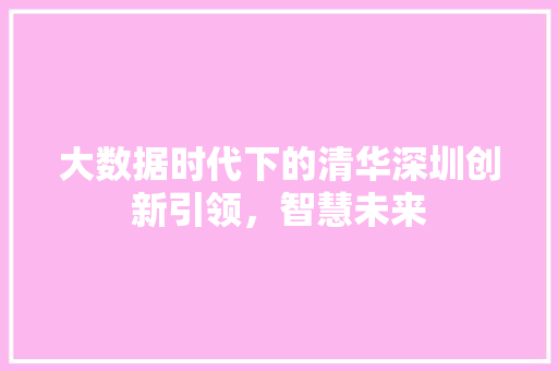 大数据时代下的清华深圳创新引领，智慧未来