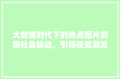 大数据时代下的热点图片洞察社会脉动，引领视觉潮流