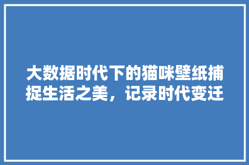 大数据时代下的猫咪壁纸捕捉生活之美，记录时代变迁