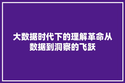 大数据时代下的理解革命从数据到洞察的飞跃 编程语言